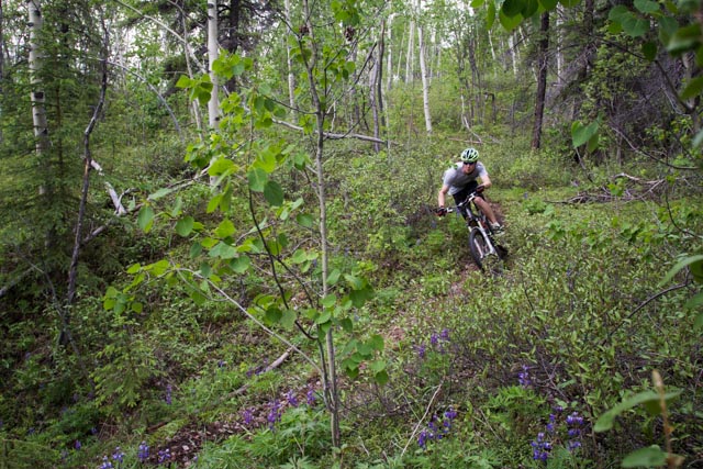 20111227-untitled shootIMG_2211