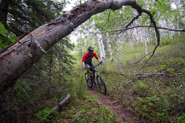 20111227-untitled shootIMG_2250