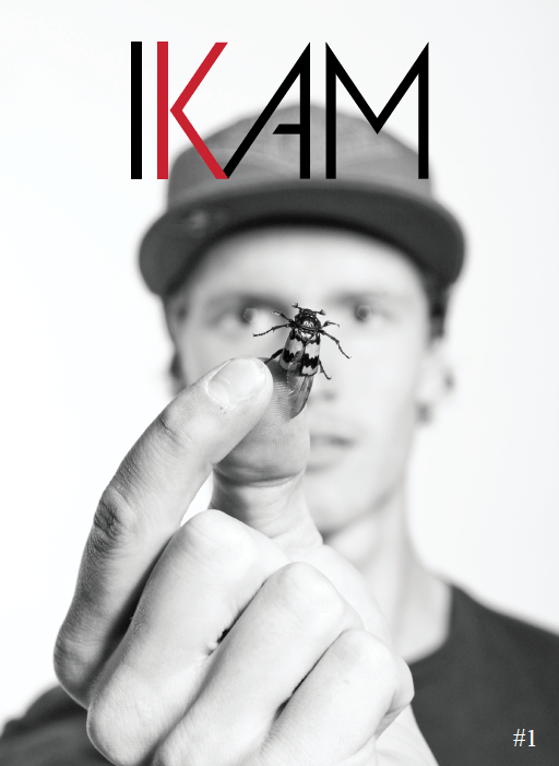 screen-shot-2017-01-08-at-1-24-13-pm