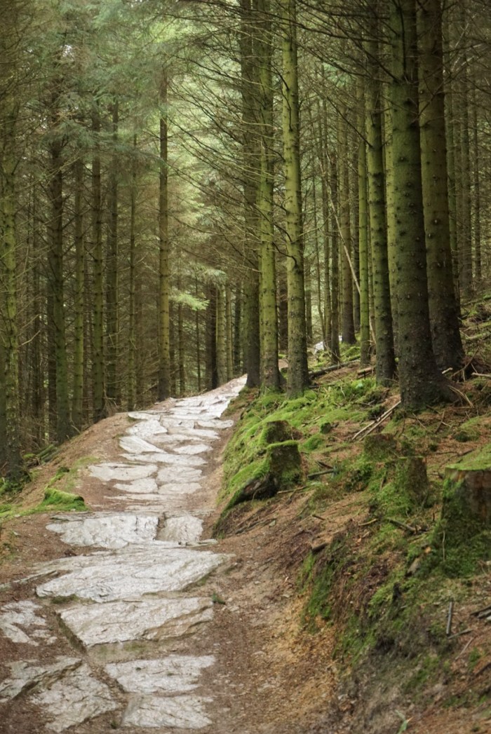 408A01DB-DA7C-422D-8AA1-FB5F73A281CD