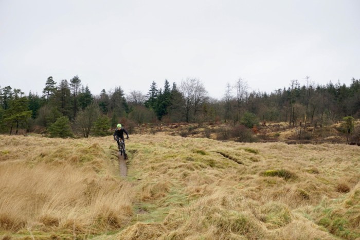 UKSelect20170314 - 32