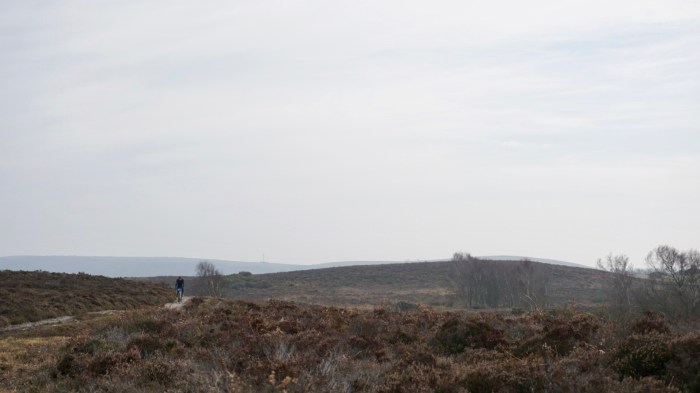 UKSelect20170314 - 4